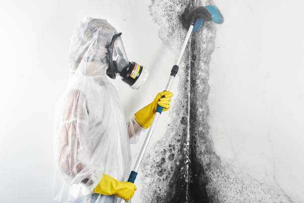 Best Indoor Air Quality Assessment  in Canal Fulton, OH
