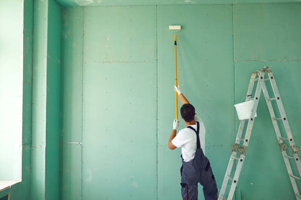 Best Basement Mold Removal  in Canal Fulton, OH