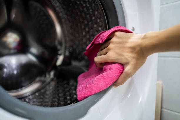 Best Mold Damage Restoration  in Canal Fulton, OH