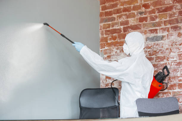 Best Mold Documentation for Insurance Claims  in Canal Fulton, OH