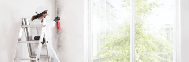 Best Commercial Mold Inspection  in Canal Fulton, OH